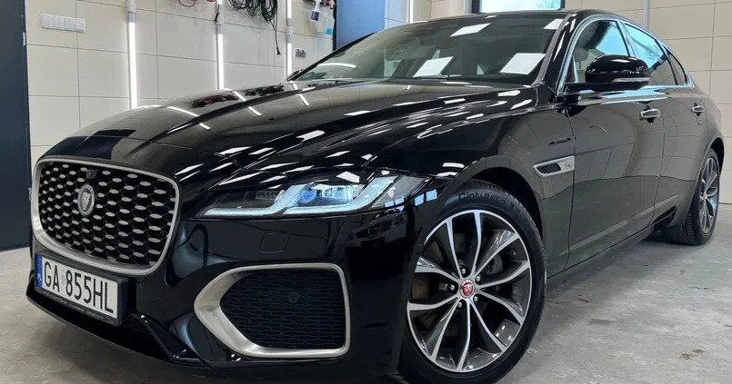 Jaguar XF cena 209900 przebieg: 31000, rok produkcji 2021 z Tychy małe 562